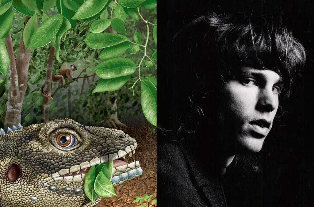 Extinct Lizard Named After The Doors’ Singer Jim Morrison